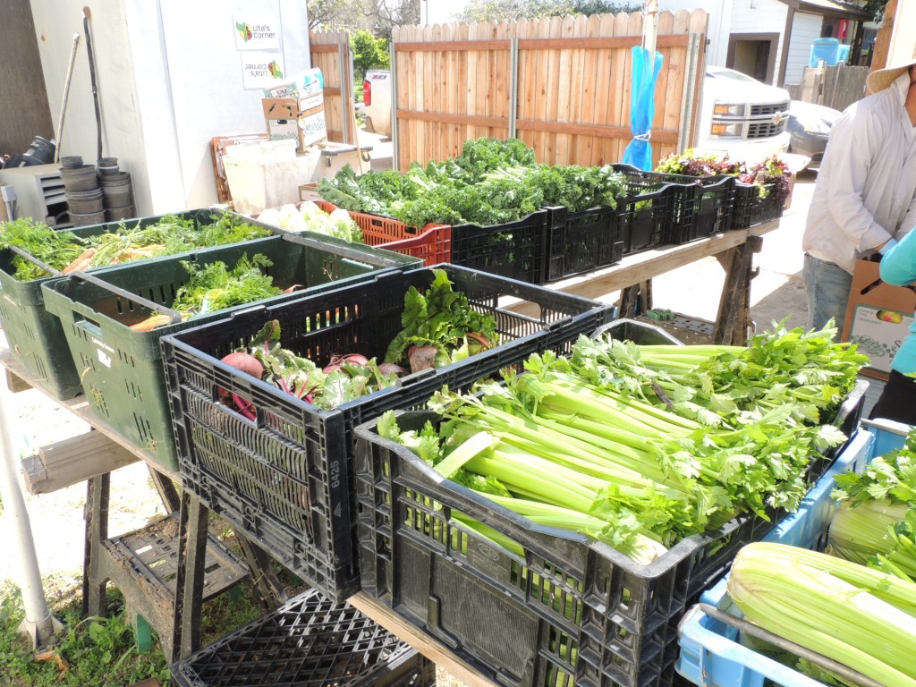 Fruits and vegetables