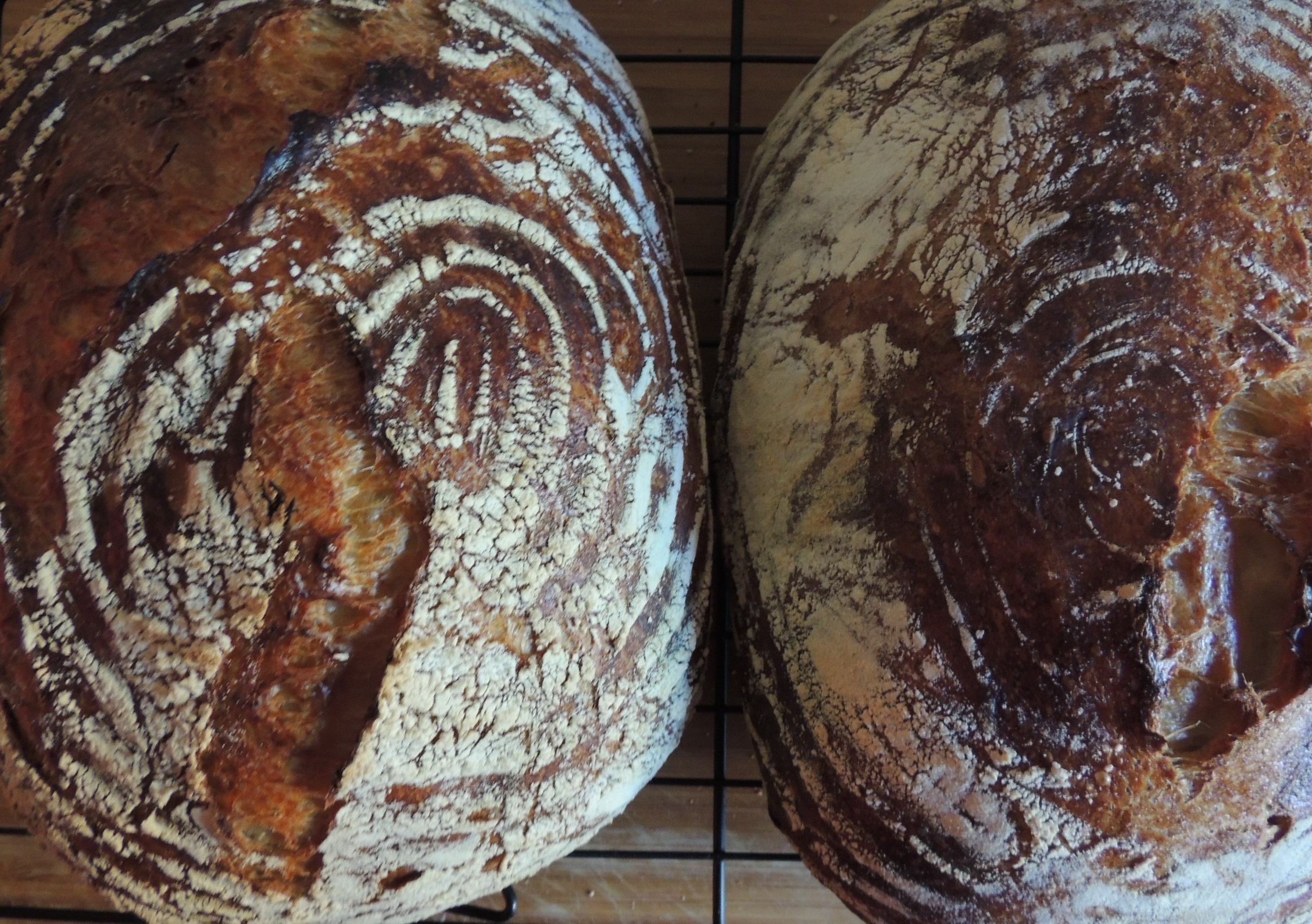 Saturday white bread by Ken Forkish