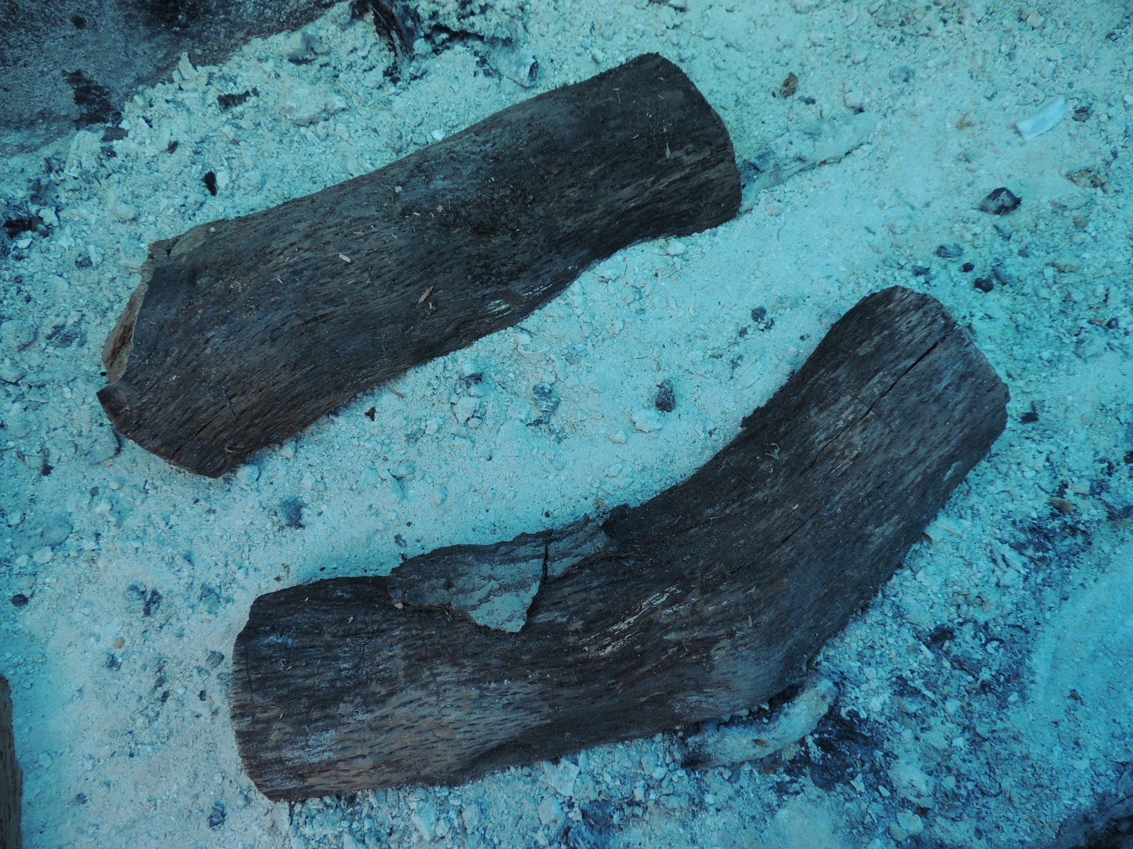 Two pieces of bbq wood