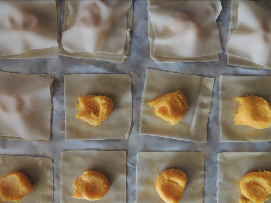 Butternut Squash Potstickers