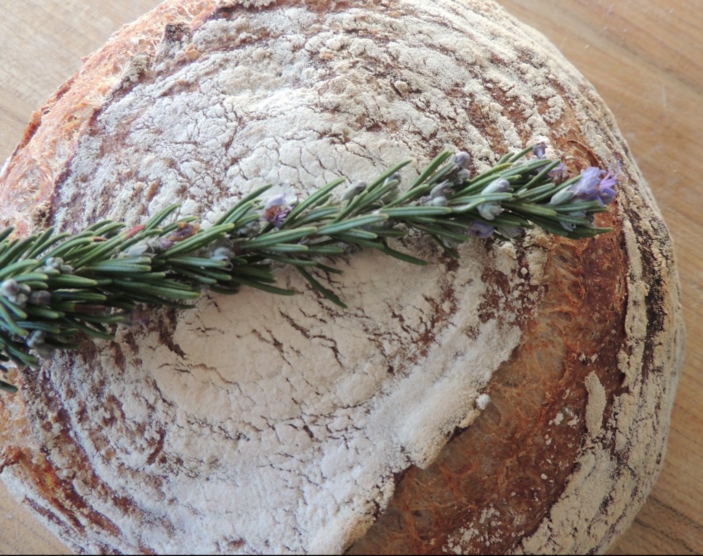 fresh rosemary bread