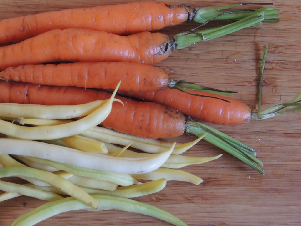 Carrots and yellow wax beans from Talley Farms