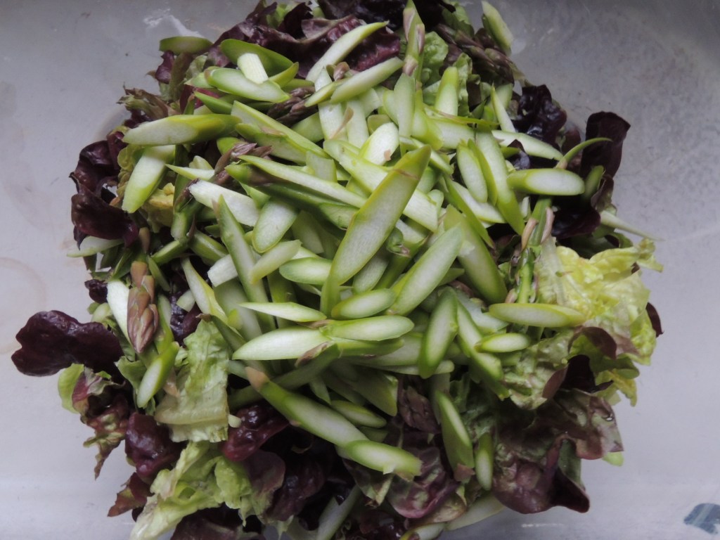 Asparagus Salad