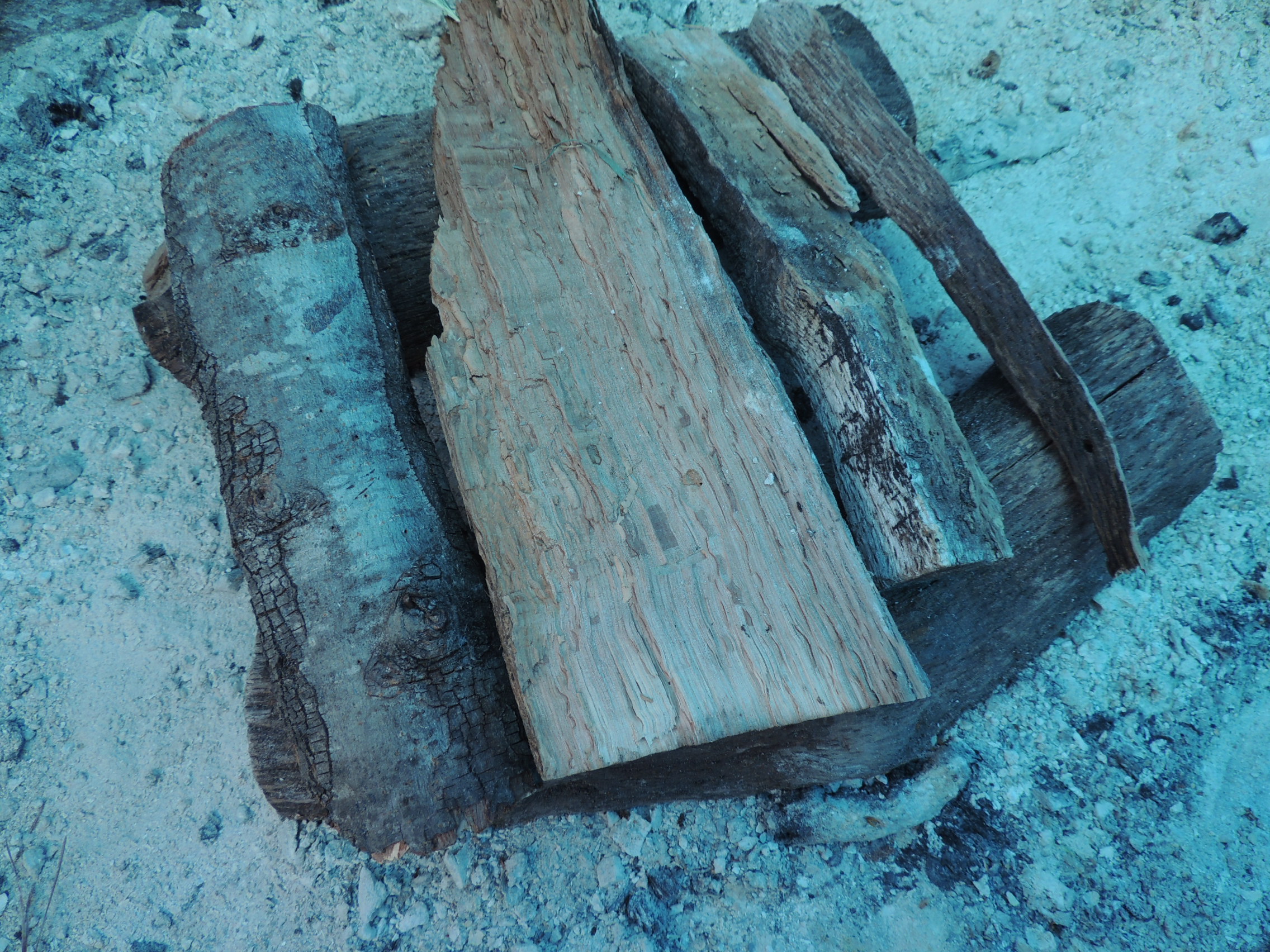 Wood for a Santa Maria style bbq
