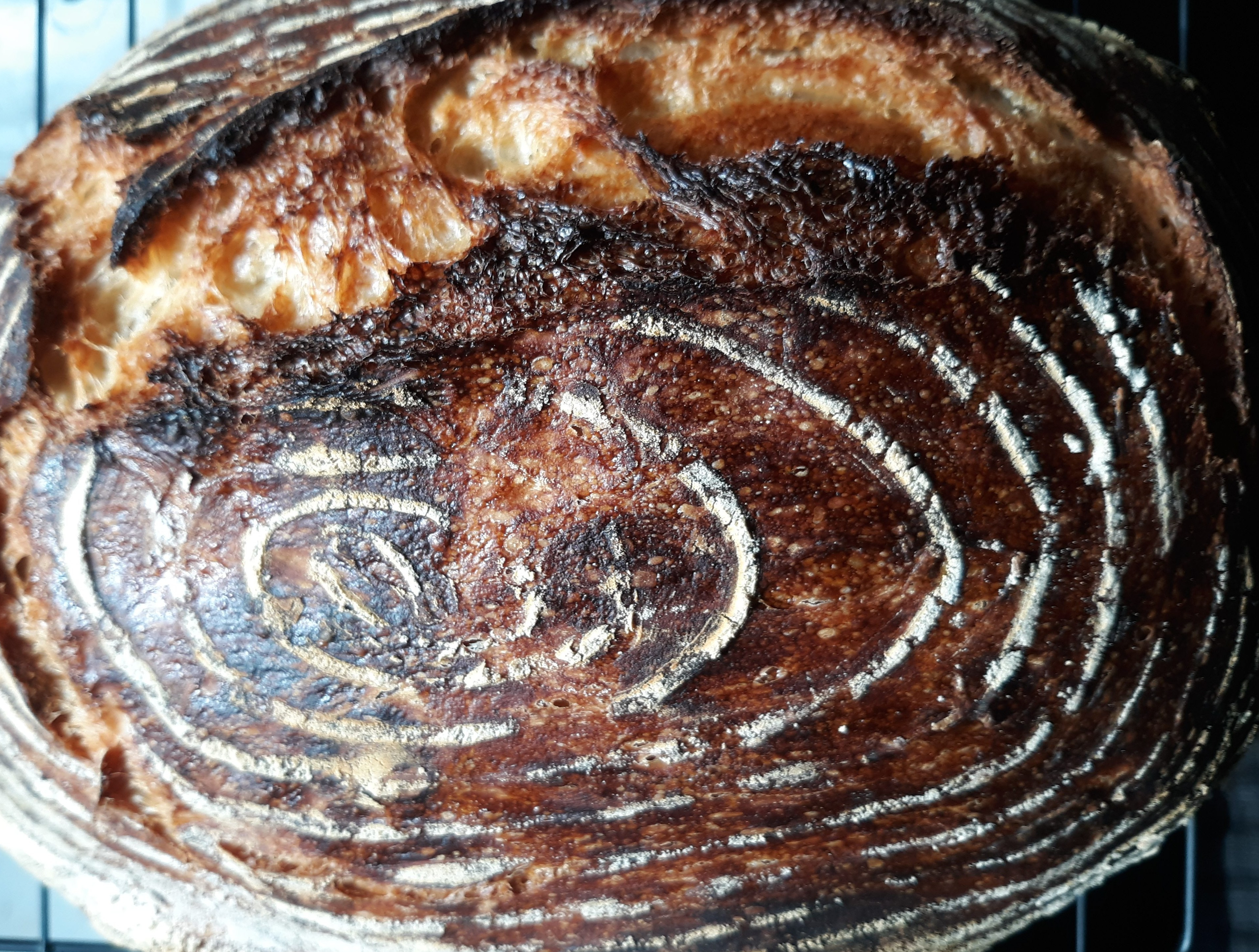 An oval of crusty bread